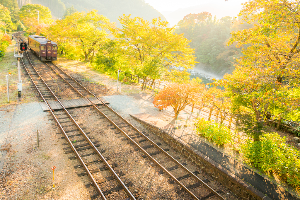 秋深まる沢入駅