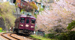 花吹雪！ わ鐵桜2015Ⅴ