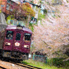 花吹雪！ わ鐵桜2015Ⅴ