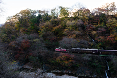 晩秋のわたらせ渓谷鐵道