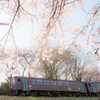 春には桜の花束を　～わたらせ渓谷鐵道2016春～