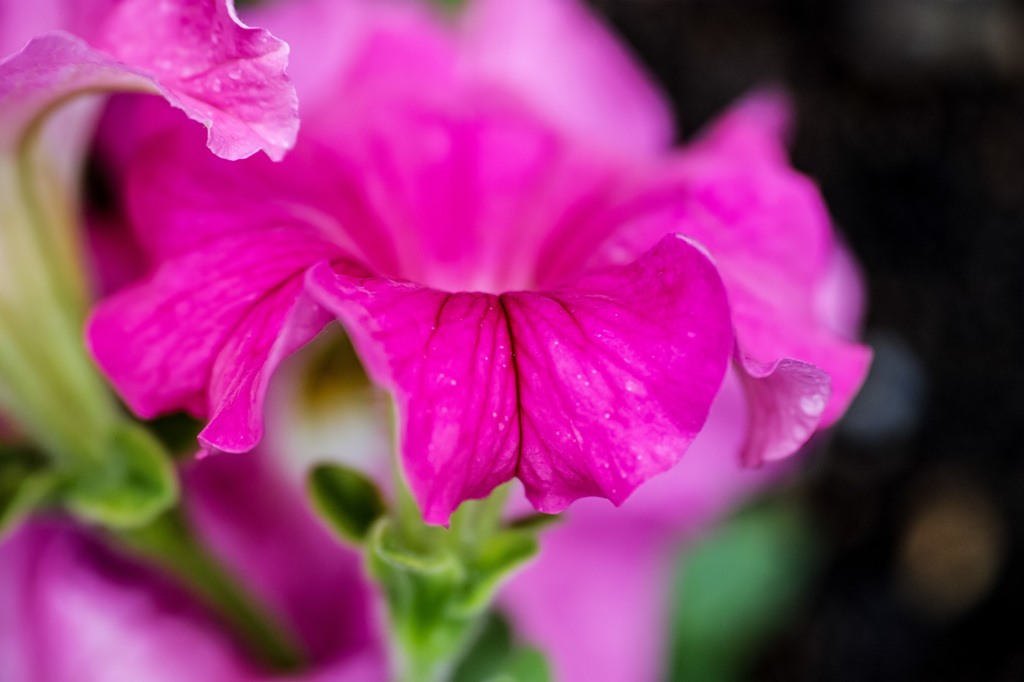 SDIM0521-1