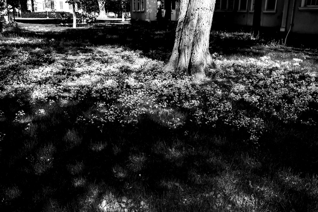 R0320764-1-2r