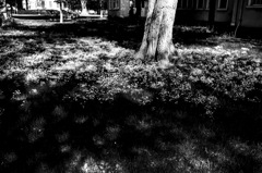 R0320764-1-2r
