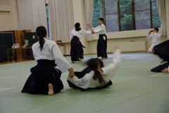 IMGP5225 (640x427)
