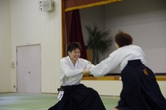 IMGP5230 (640x427)