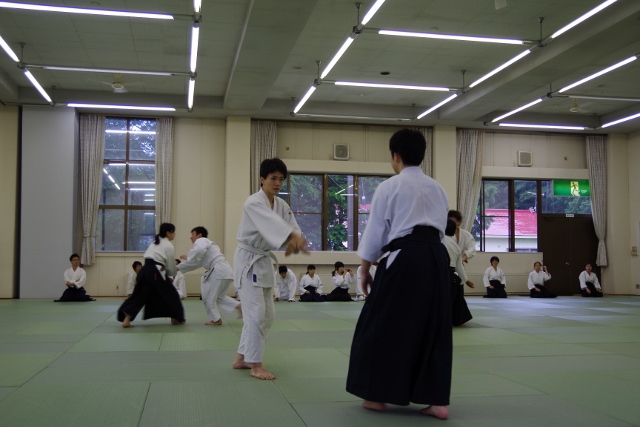 IMGP5395 (640x427)