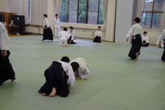 IMGP5295 (640x427)