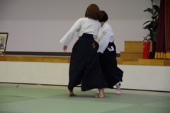 IMGP5218 (640x427)