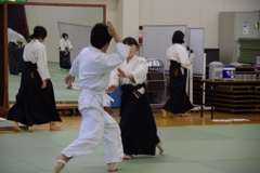 IMGP5290 (640x427)