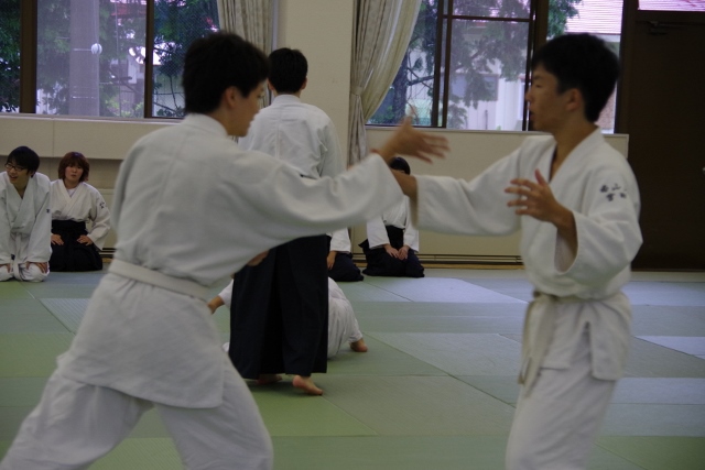 IMGP5320 (640x427)