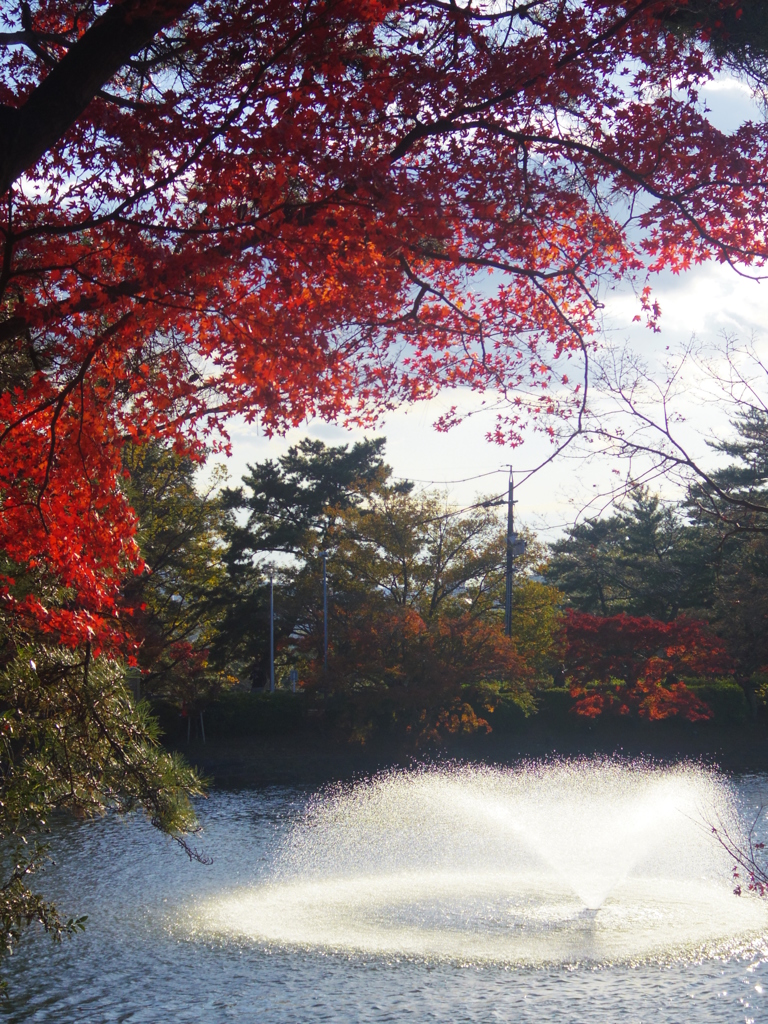 紅い縁に噴水