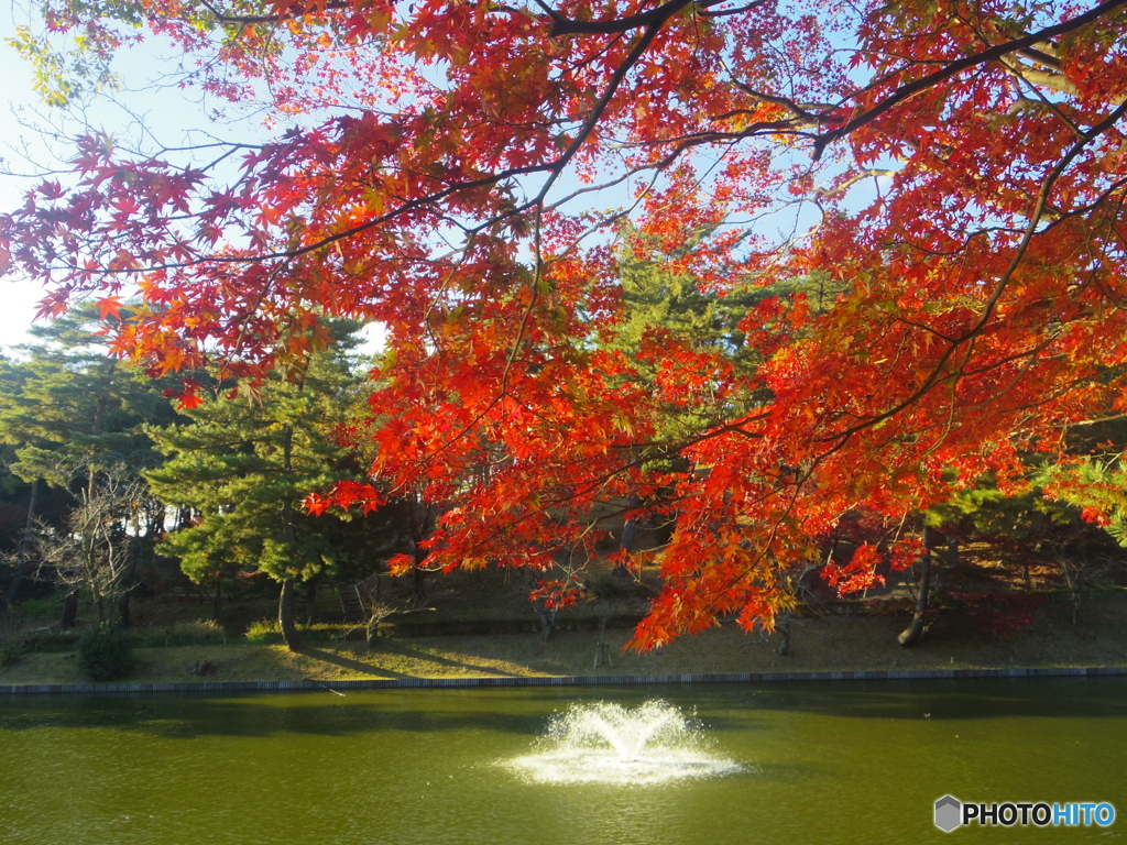 紅葉と噴水