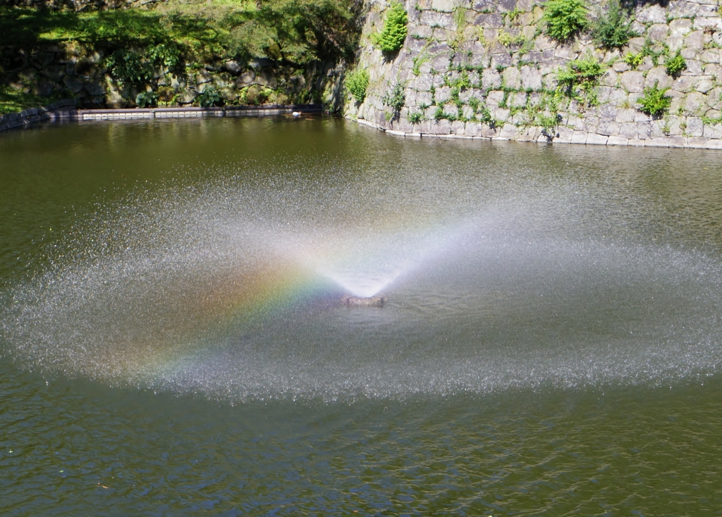 虹
