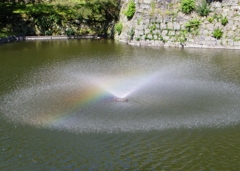虹