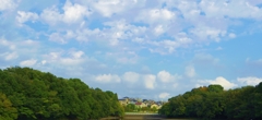 IMGP3759