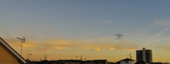夕焼け