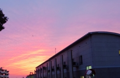 夕焼け