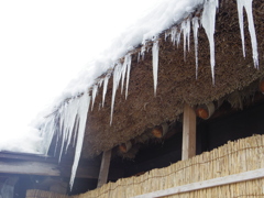 白川郷・つらら