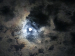 IMGP3088
