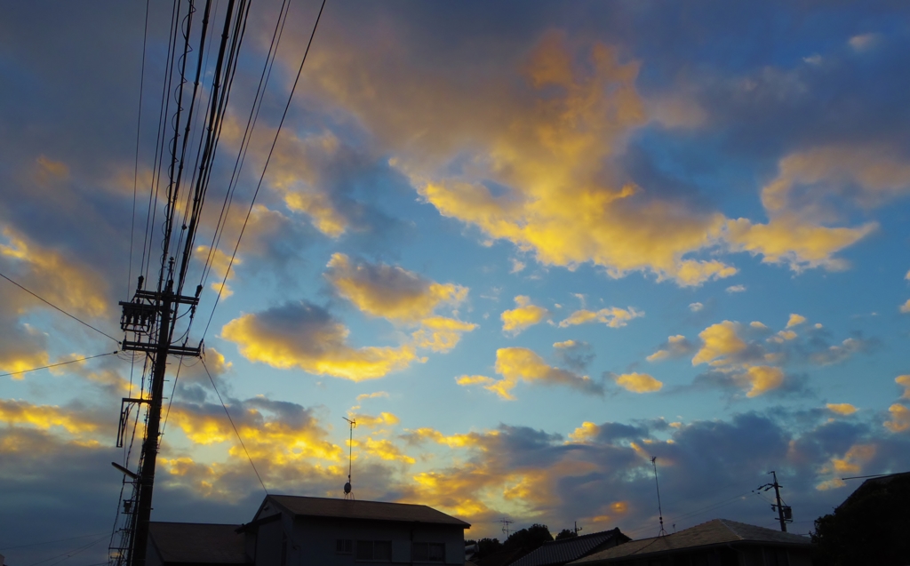 雲
