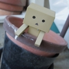 植木鉢の中から