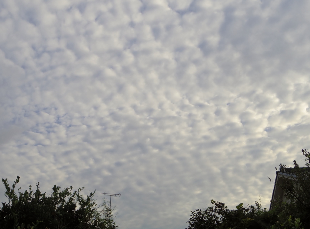 空