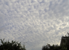空