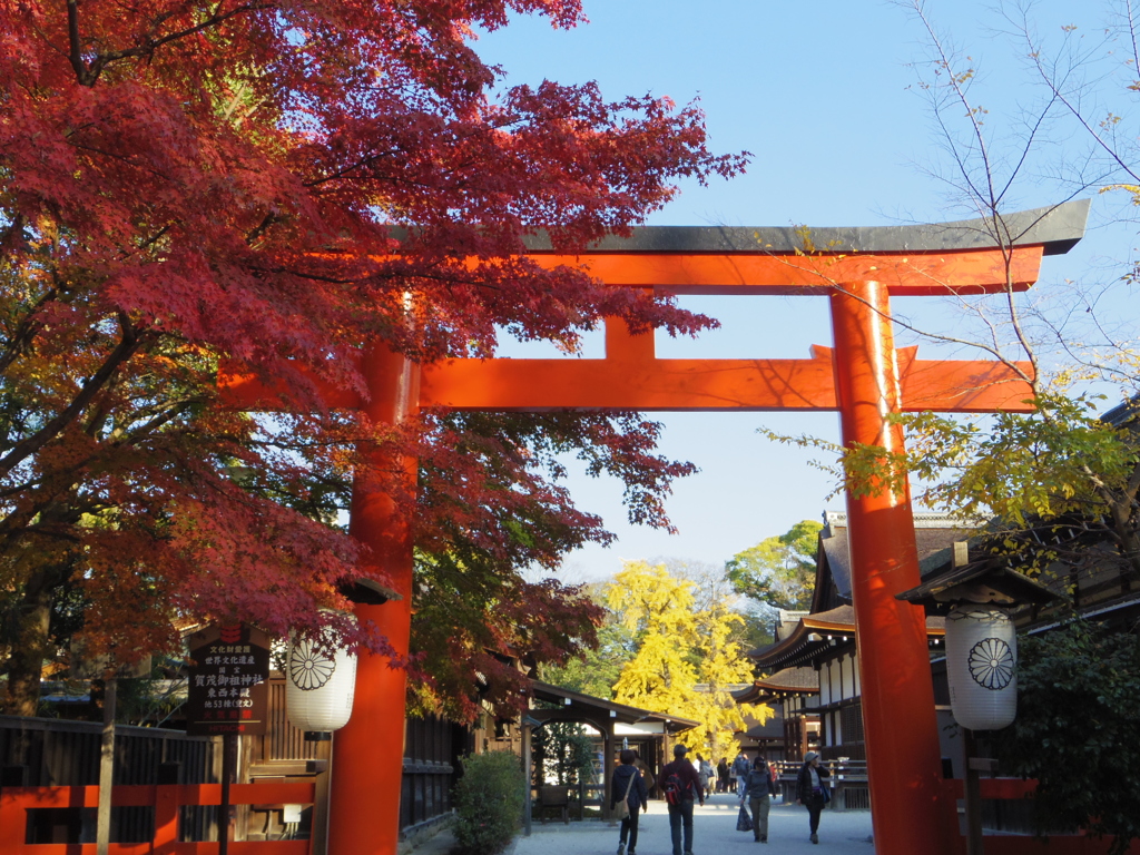 鳥居の赤と、もみじの赤
