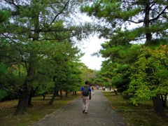 IMGP3530