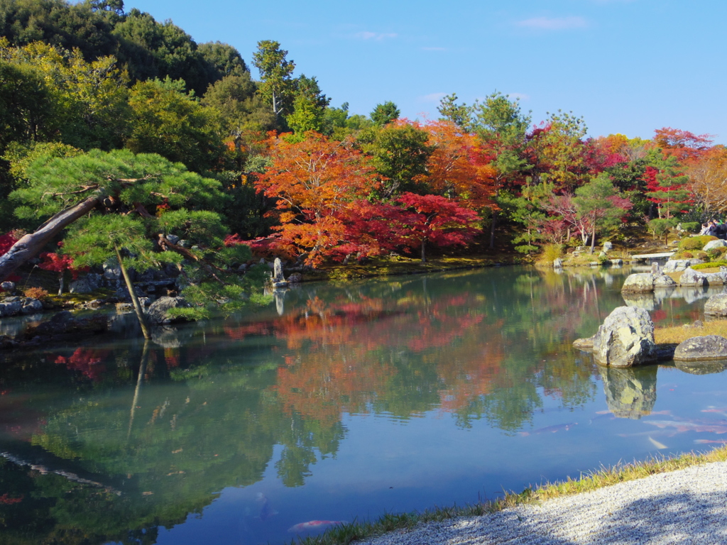 天龍寺　庭園