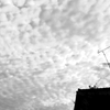 空