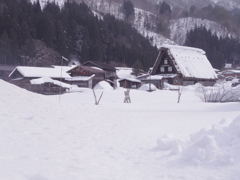 白川郷
