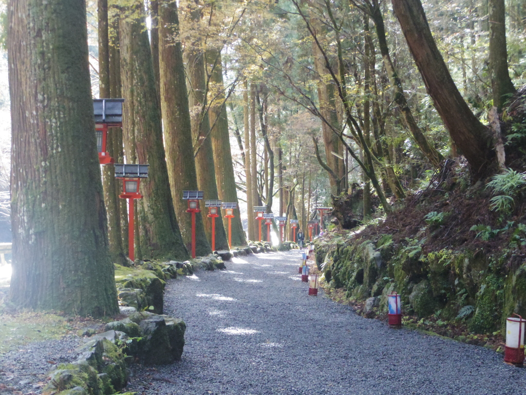 貴船の奥ノ院へと続く道