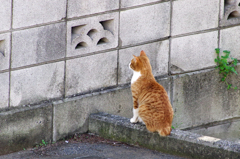 だ、だれもいないかな