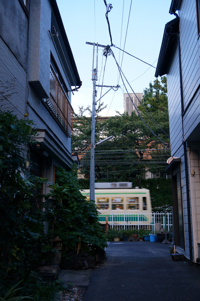 チラリ