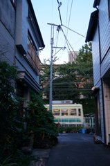 チラリ