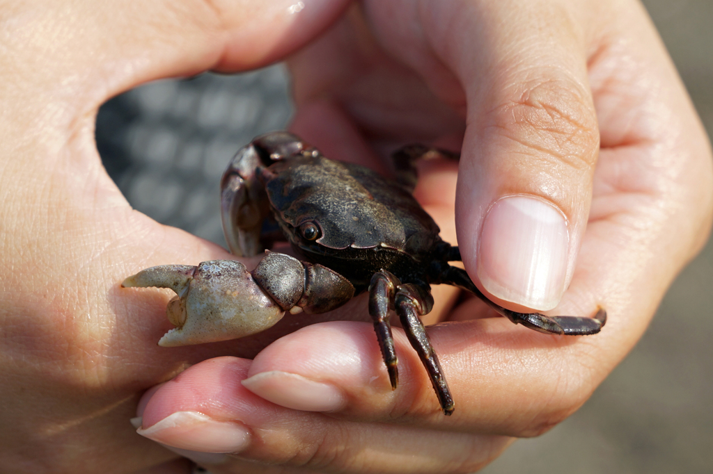 ちょっと邪魔だよ