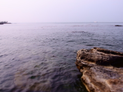 夏の前のこと