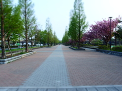 その先
