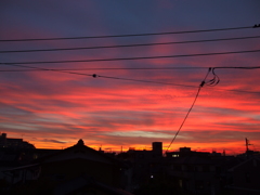 終着の空