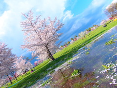 やわらかな季節