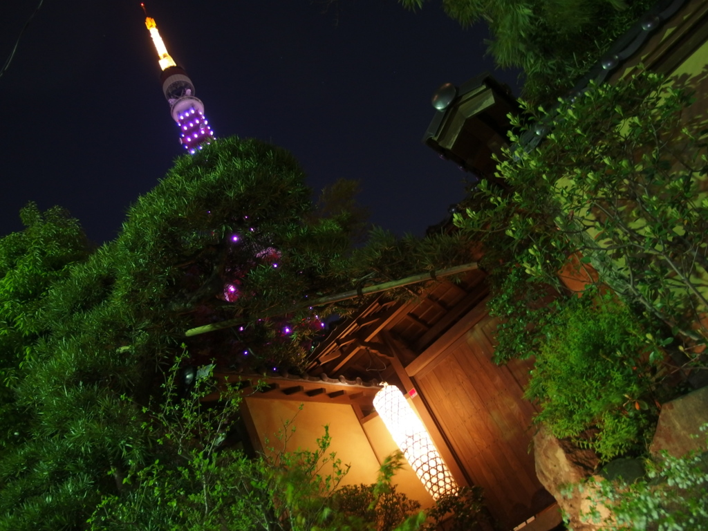 和風