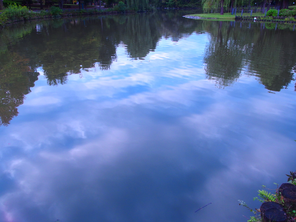 水の中の空