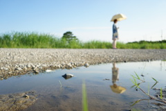 雨上がりの河川敷
