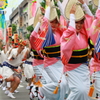 初　阿波踊り