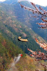 山林火災