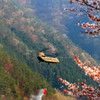 山林火災