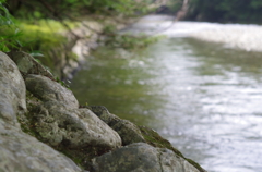 夏の五十鈴川