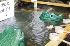 願いを叶えるカエル